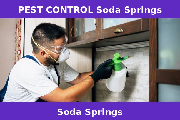 PEST CONTROL Soda Springs